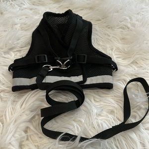 Vest Leash for Large Cat or Small Dog